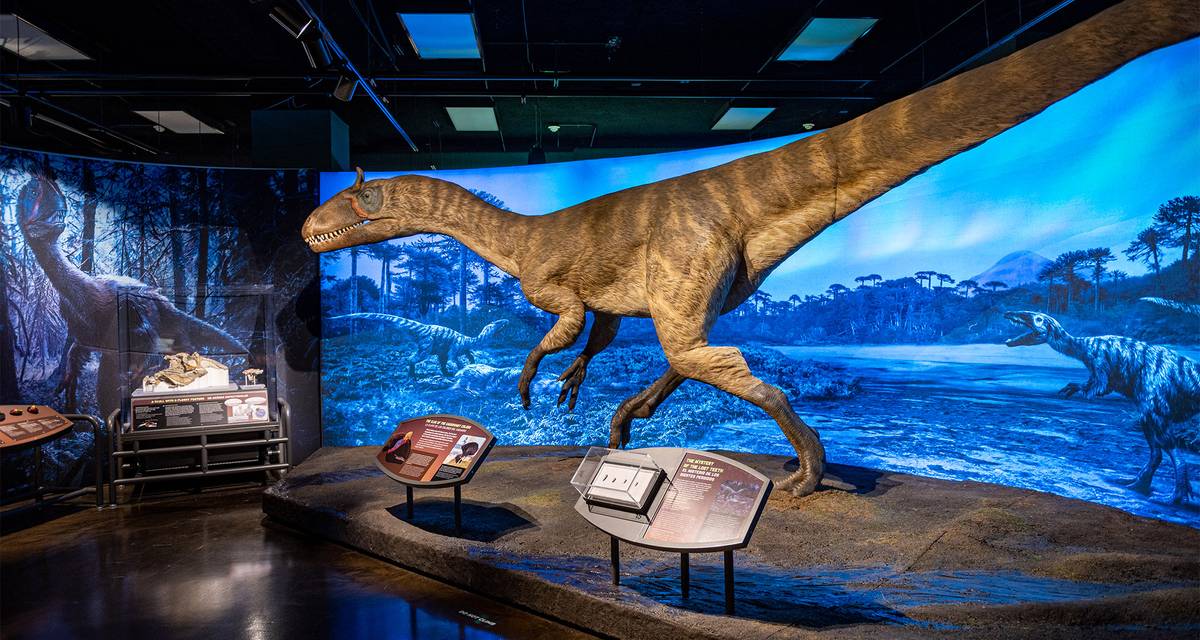 dinosaur exhibit