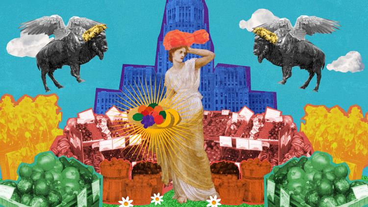 Lexington Co-Op Documentary Animation