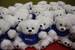 Photo of teddy bears wearing a Five Star Urgent Care t-shirt