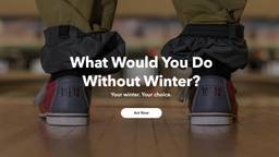 screenshot of patagonia website