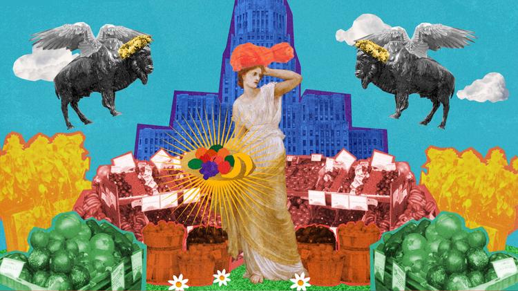 Lexington Co-Op Documentary Animation