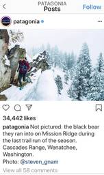 screenshot of patagonia instagram grid