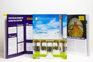 University of Albany School of Public Health brochure