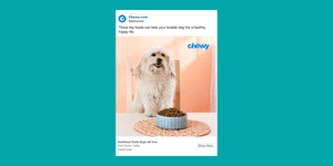 chewy faebook ad